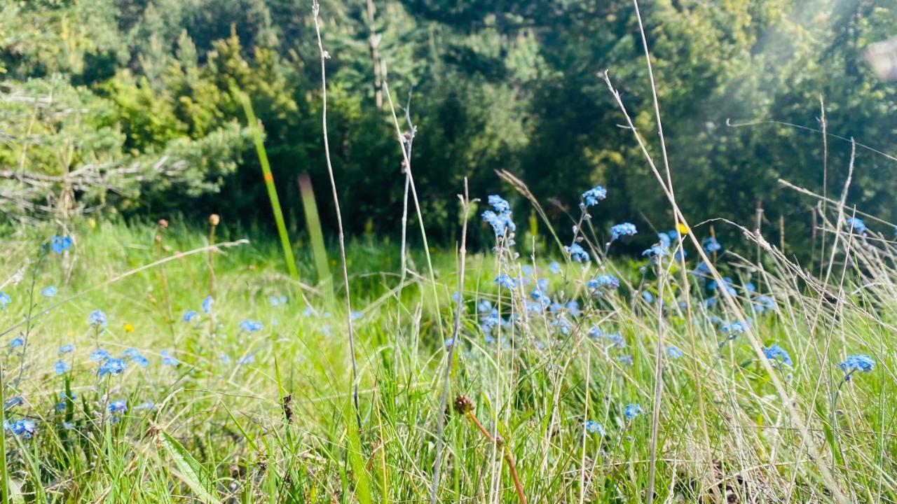 Eco Village Pavlovic 자블야크 외부 사진